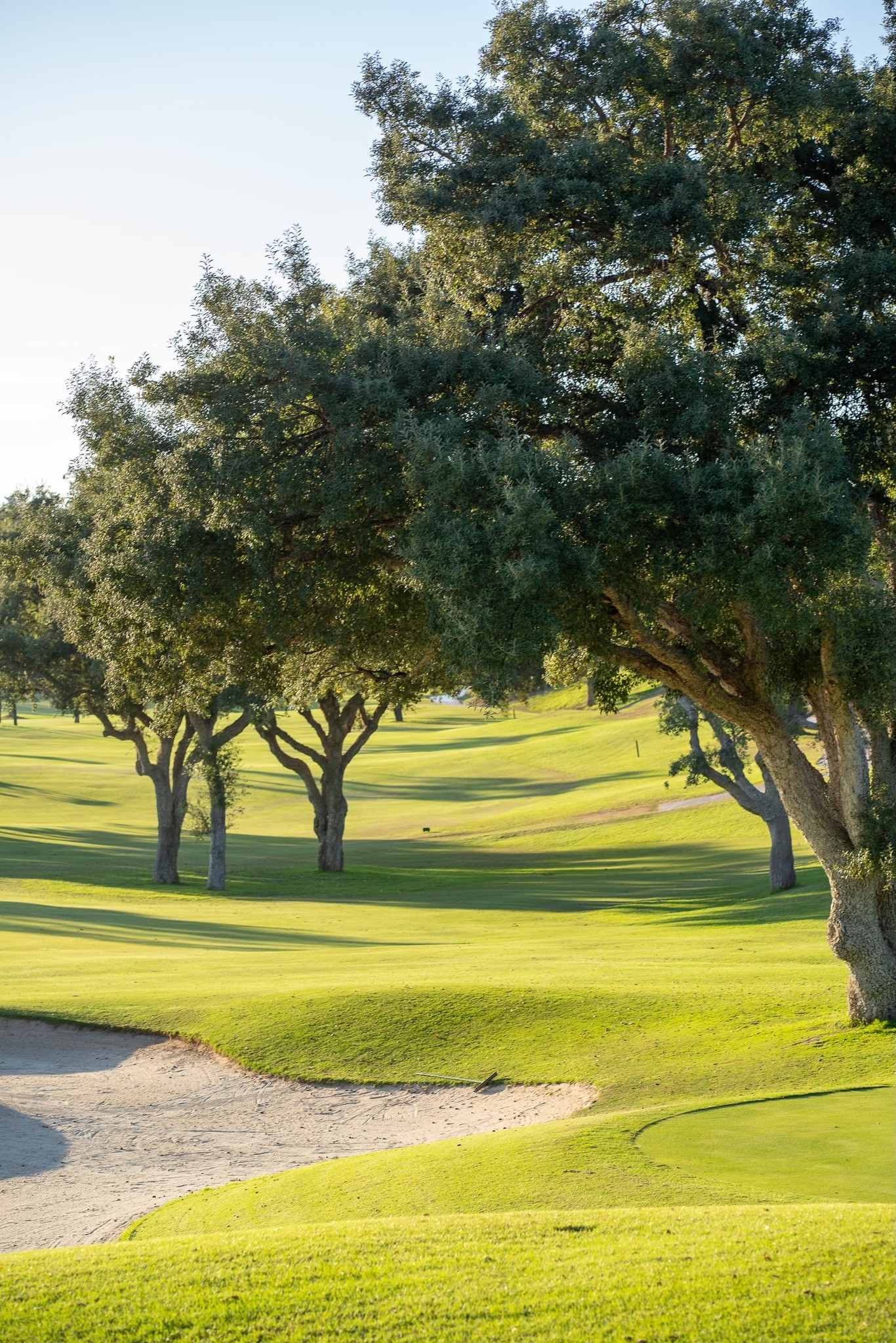 Poland and Spain also have golf in common - Independence Tournament on the Costa del Sol