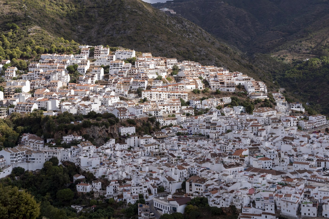 Ojen real estate